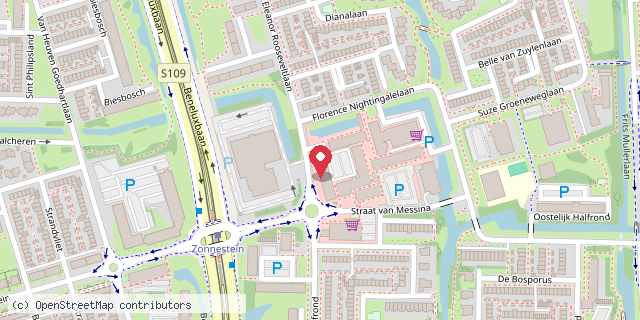 Een kaart met de locatie van Chinski Amstelveen