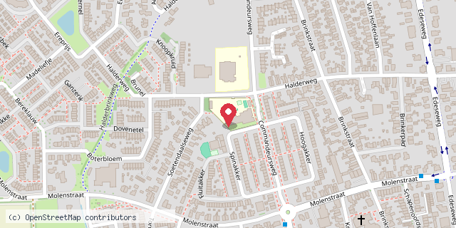Een kaart met de locatie van CNS Basisschool Juliana