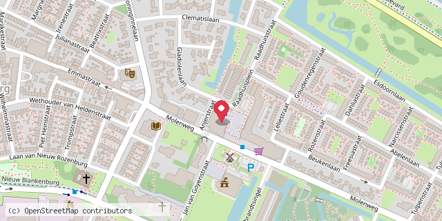Een kaart met de locatie van HEMA Rozenburg