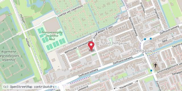 Een kaart met de locatie van Little free library Delfgauw