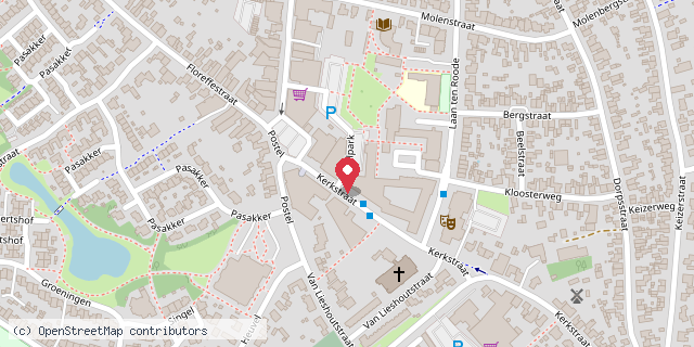 Een kaart met de locatie van Logopedie & Dyslexie Eilers