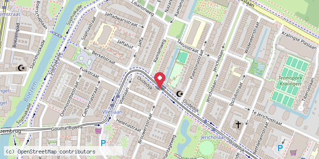 Een kaart met de locatie van Minibieb Bibliotheek Rotterdam: Oudedijk 277