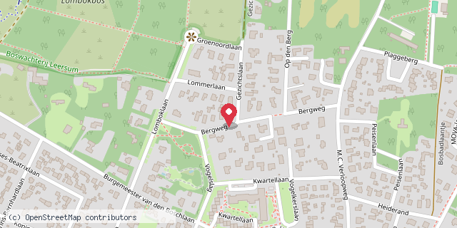 Een kaart met de locatie van Minibieb Gezichtslaan