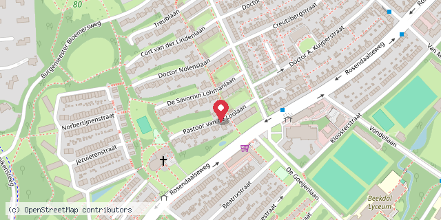Een kaart met de locatie van MiniBieb Loolaan
