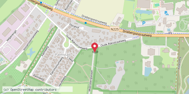 Een kaart met de locatie van Minibieb Palmstad