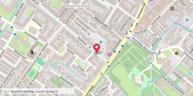 Een kaart met de locatie van MiniBieb Papelaan 12