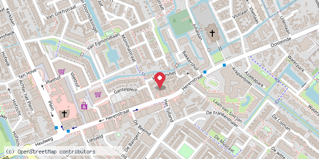 Een kaart met de locatie van Mini-bieb aan de Heerenvliet