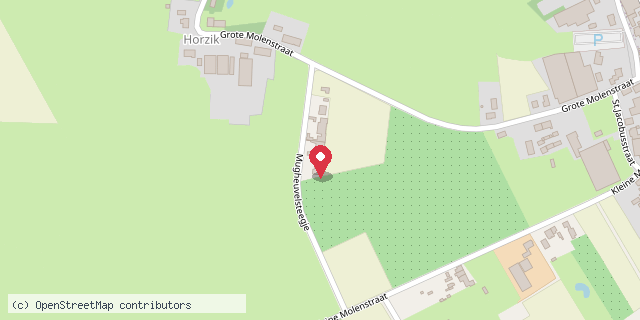 Een kaart met de locatie van Minibieb D'n Horzik