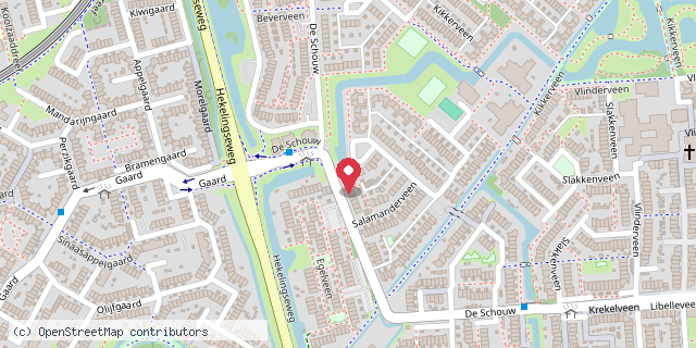 Een kaart met de locatie van Boekenhuisje Salamanderveen