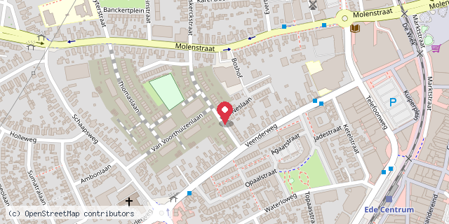 Een kaart met de locatie van MiniBieb Sodaliet
