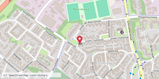 Een kaart met de locatie van Cobi