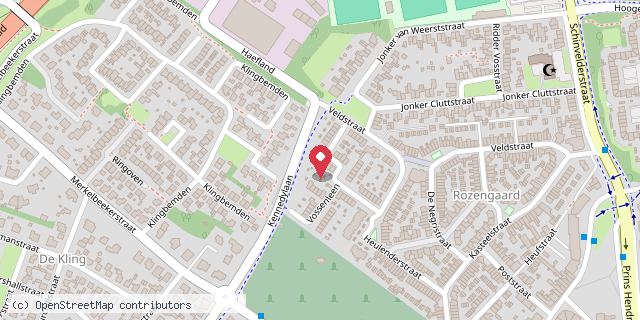 Een kaart met de locatie van Minibieb ‘T Vosje