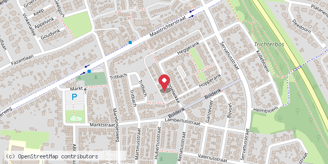 Een kaart met de locatie van Yasmijns en Olivers leeshuis