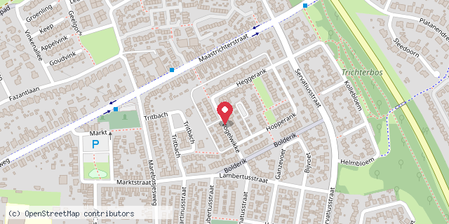 Een kaart met de locatie van Het Vogelwikje
