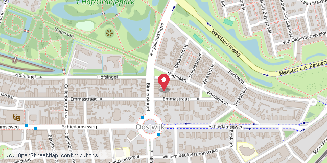 Een kaart met de locatie van minibieb hogelaan